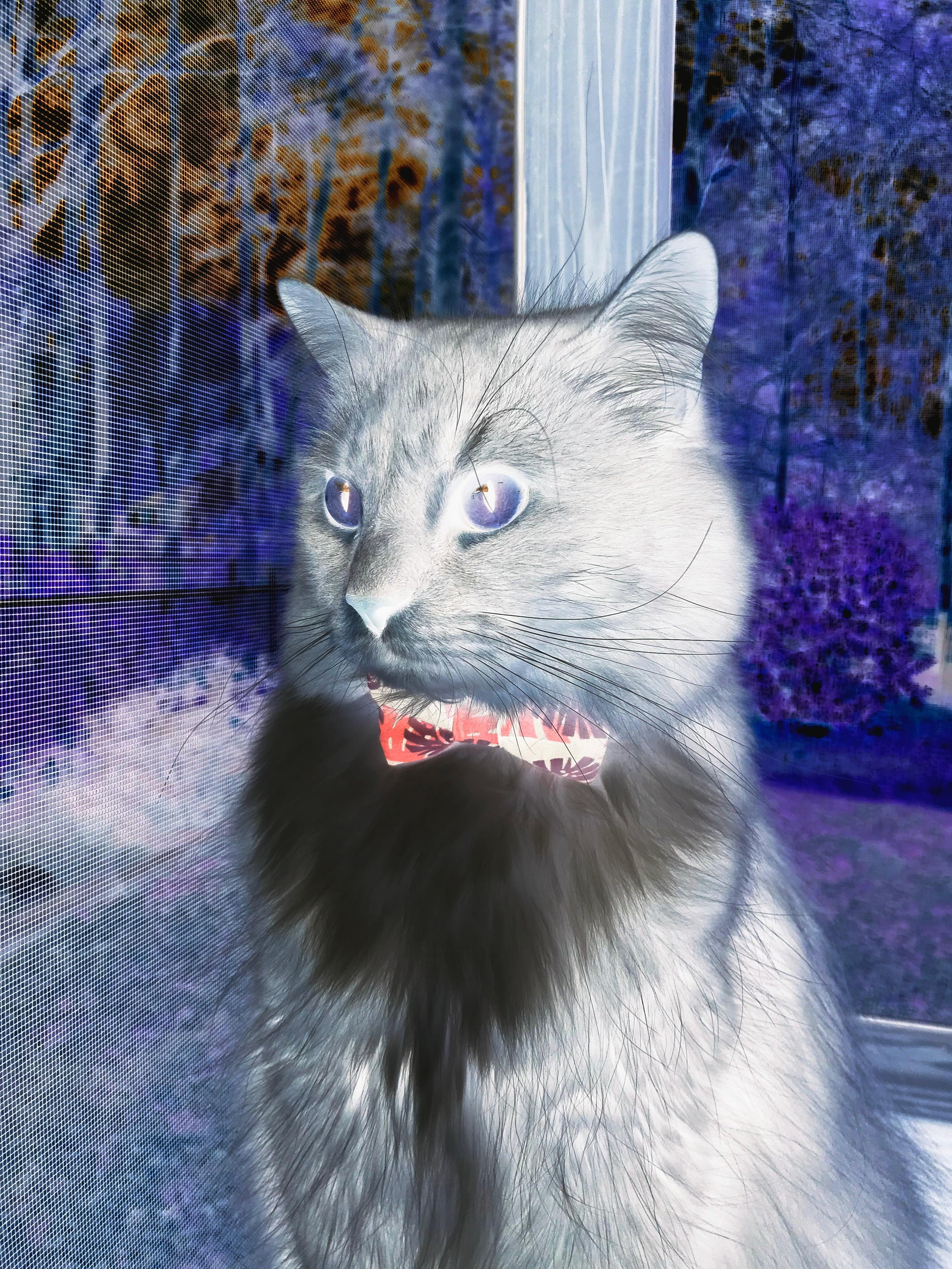 乐鱼（LEYU）体育-“中超再迎引援高峰，各大豪门备战新赛季”，中超引援最新消息2021