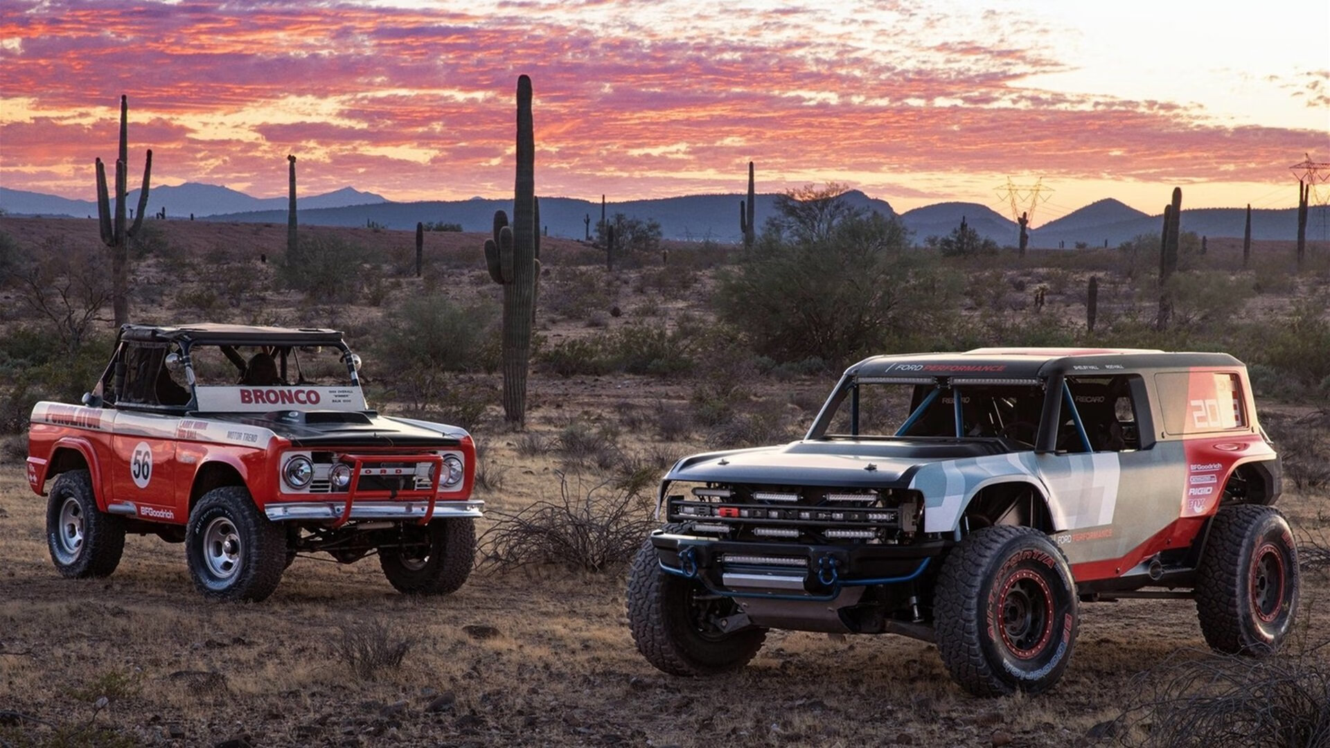 【自动判决带来争议】科技保障还是误差?,法院判决自动履行期是多久