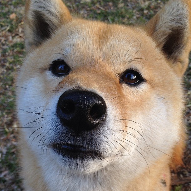 乐鱼电竞在线平台-比赛评论：专家解析本赛季最具有战术含金量的比赛，竞赛战术的构成