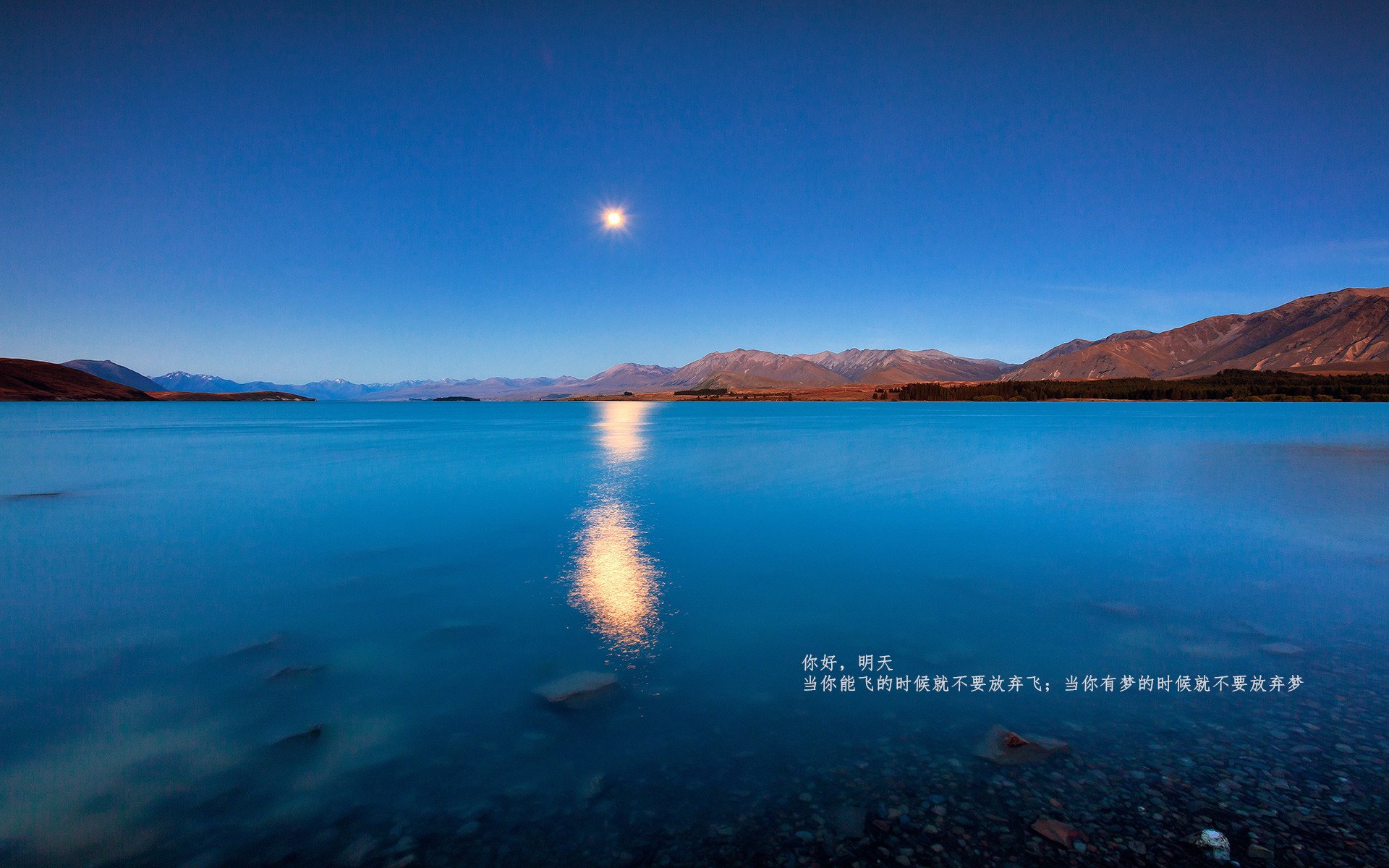 乐鱼娱乐app-五大联赛是否应更重视非洲与亚洲转播市场，五大联赛在中国的转播权