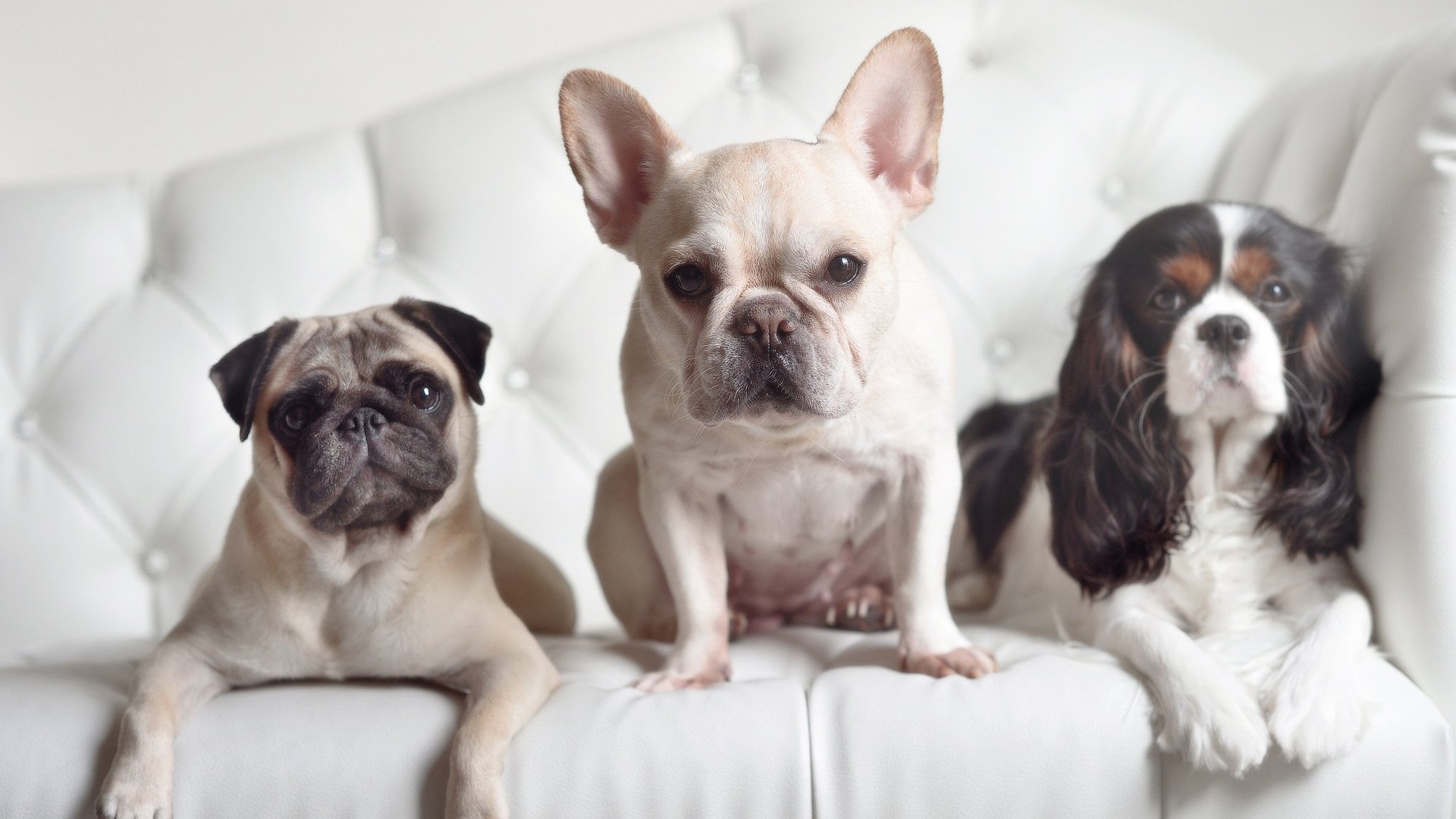 尼姆主场逆转斯特拉斯堡，取得胜利，尼姆主场逆转斯特拉斯堡,取得胜利了吗