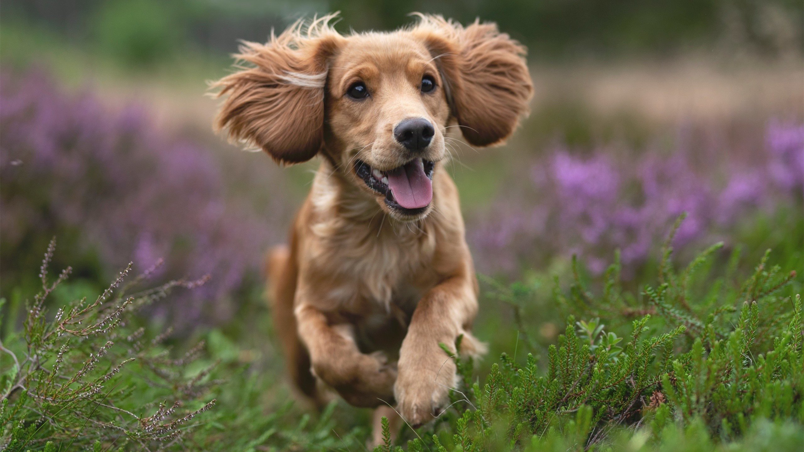 广州恒大U23梯队逆转上港展现后备力量,广州恒大u19球员名单