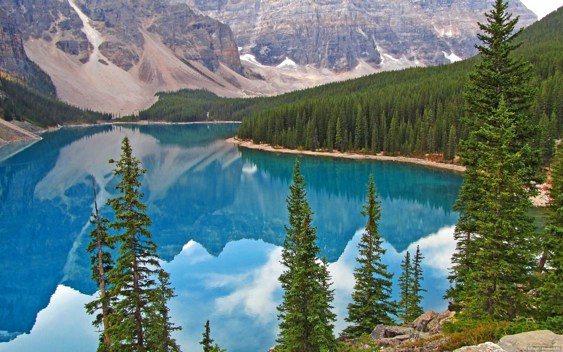 乐鱼电竞在线平台登录入口-狼队客场力克猛龙，取得关键胜利，狼队主力