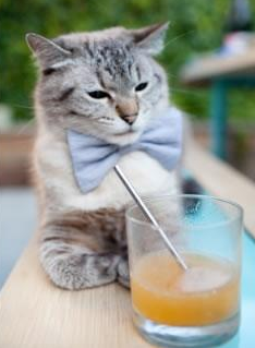 乐鱼电竞-诺瓦克·德约科维奇赢得2024年澳网冠军，德约科维奇历届澳网成绩