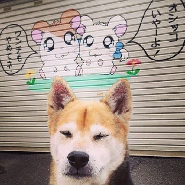 LEYU乐鱼体育官方网站-阿尔阿赫利计划举办青少年足球训练营，培养未来之星，阿尔阿赫利利马