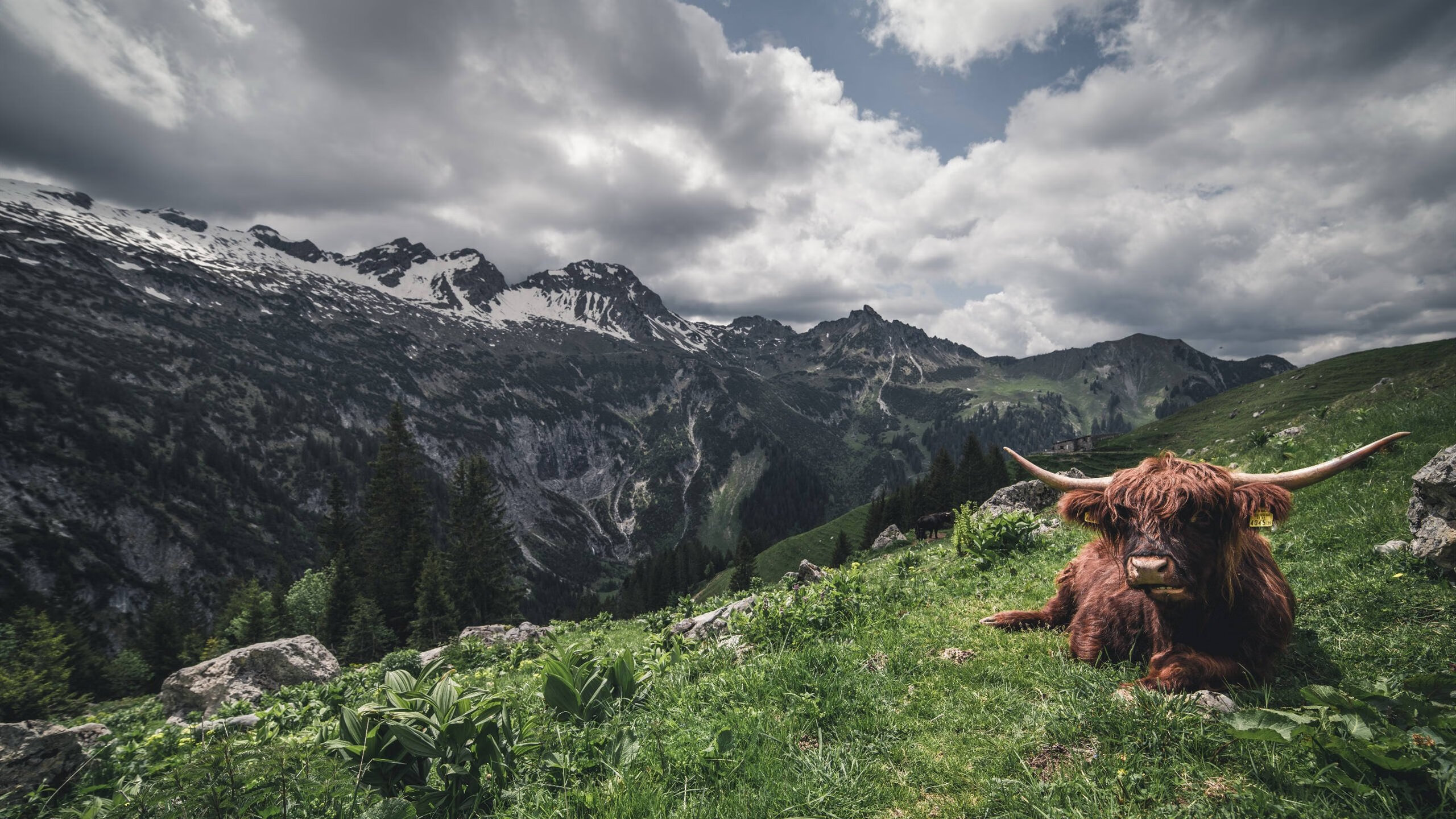 PSG战术缺陷引发媒体热议,ps4战术游戏