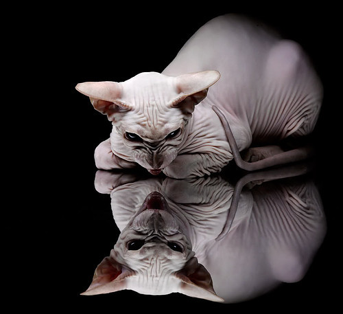 leyu乐鱼-世界杯小组赛焦点战 英格兰21逆转德国，世界杯2022英格兰