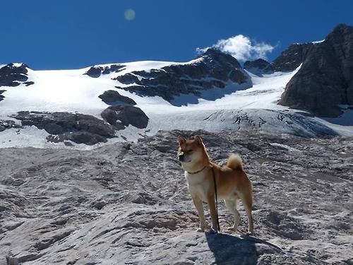 leyu乐鱼-中国男篮注重身体对抗 提高比赛硬度，如何提高中国男篮水平