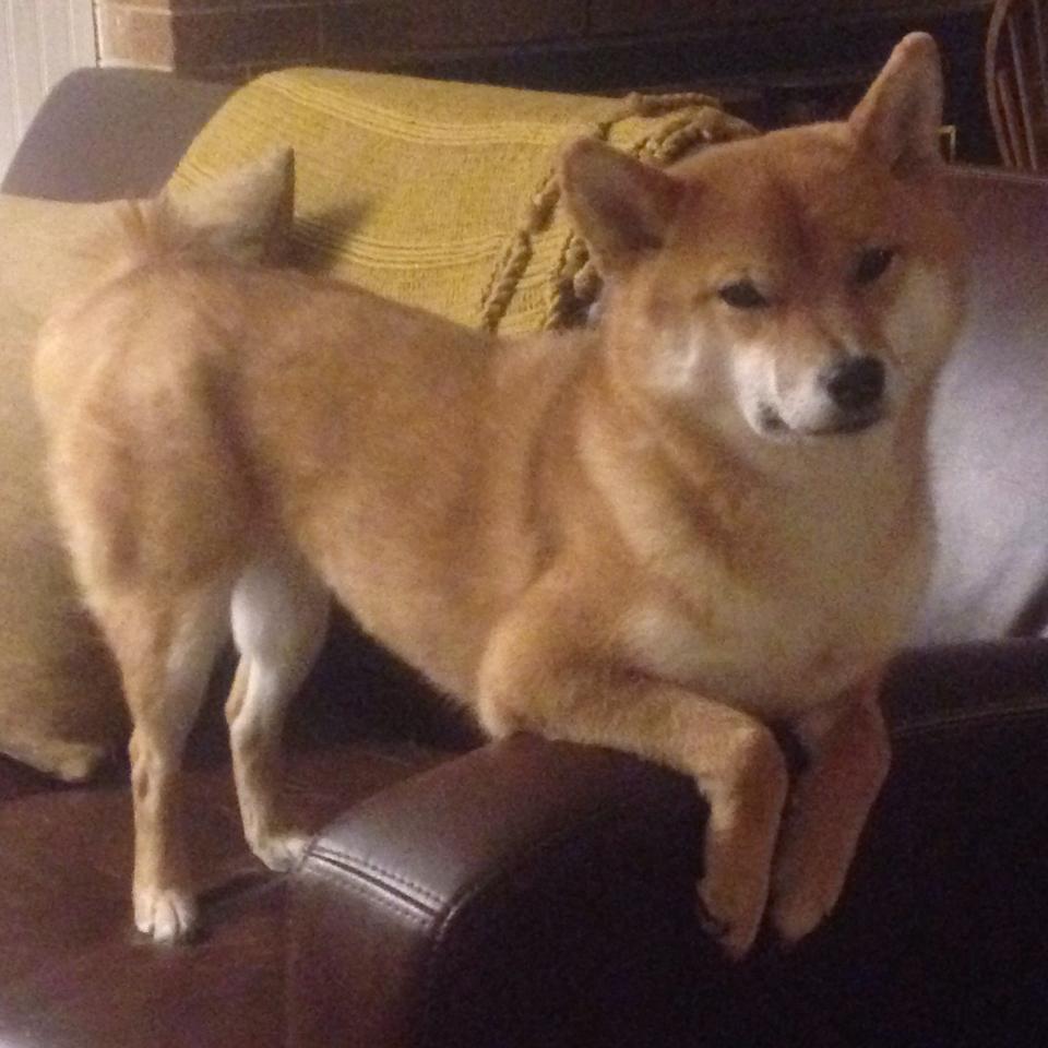 乐鱼（LEYU）体育-校园足球赛事促进学生全面发展，开展校园足球的可行性