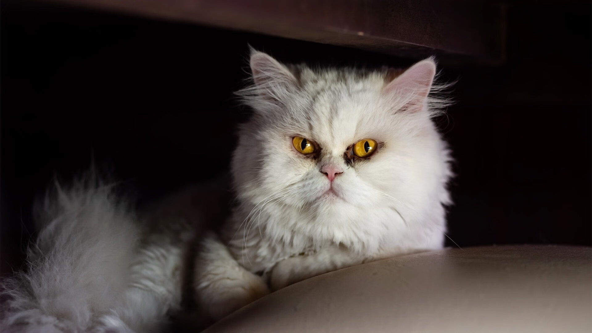 乐鱼app-欧战赛场五大联赛球队整体表现解析，五大联赛欧战积分规则