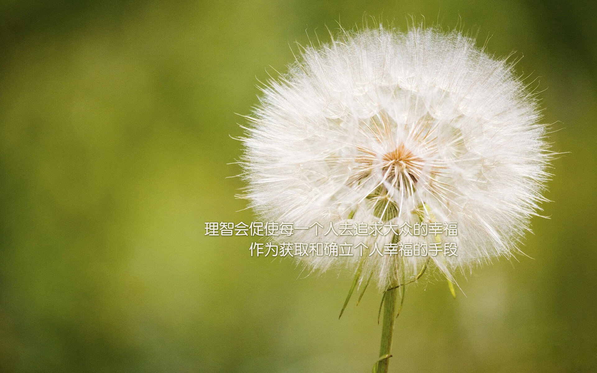 斯洛伐克男篮在欧洲大赛中奋勇逐梦,目标更高层次,斯洛伐克篮球球星