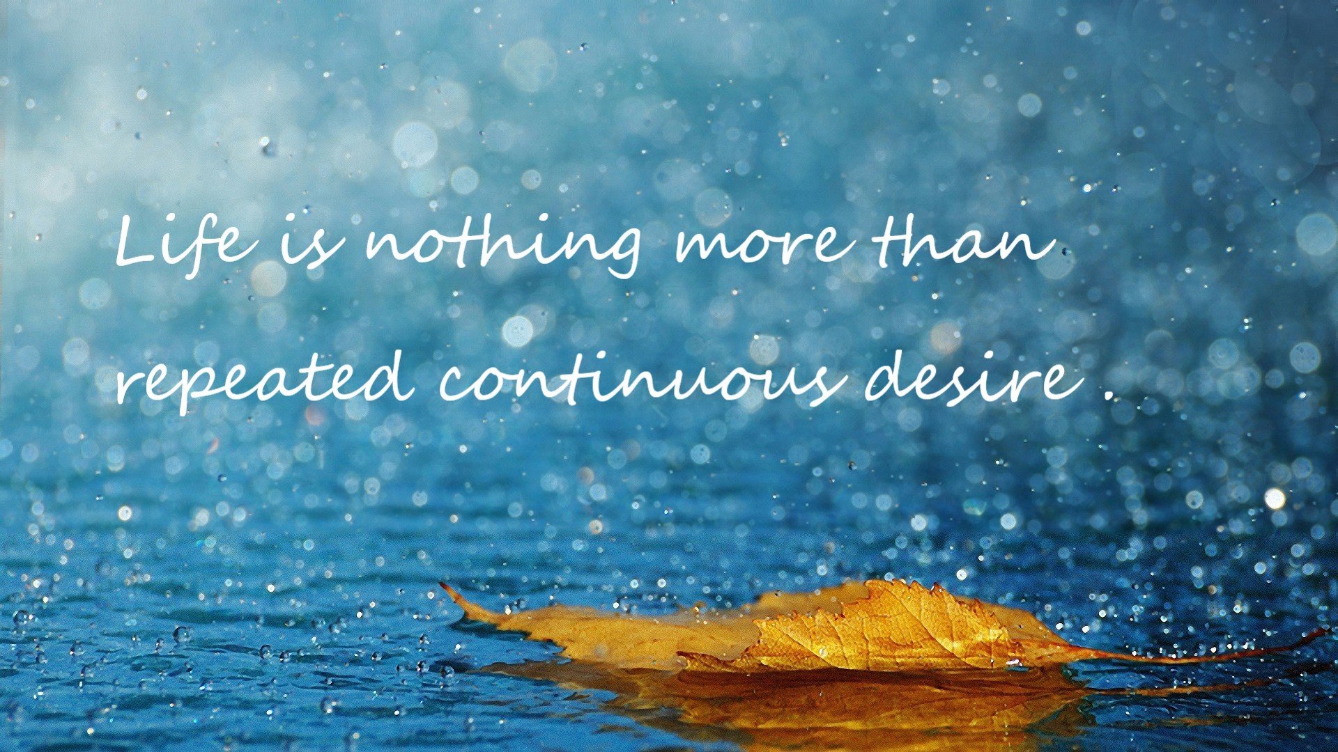 波兰蝶泳项目稳定提升,蝶泳波浪怎么练