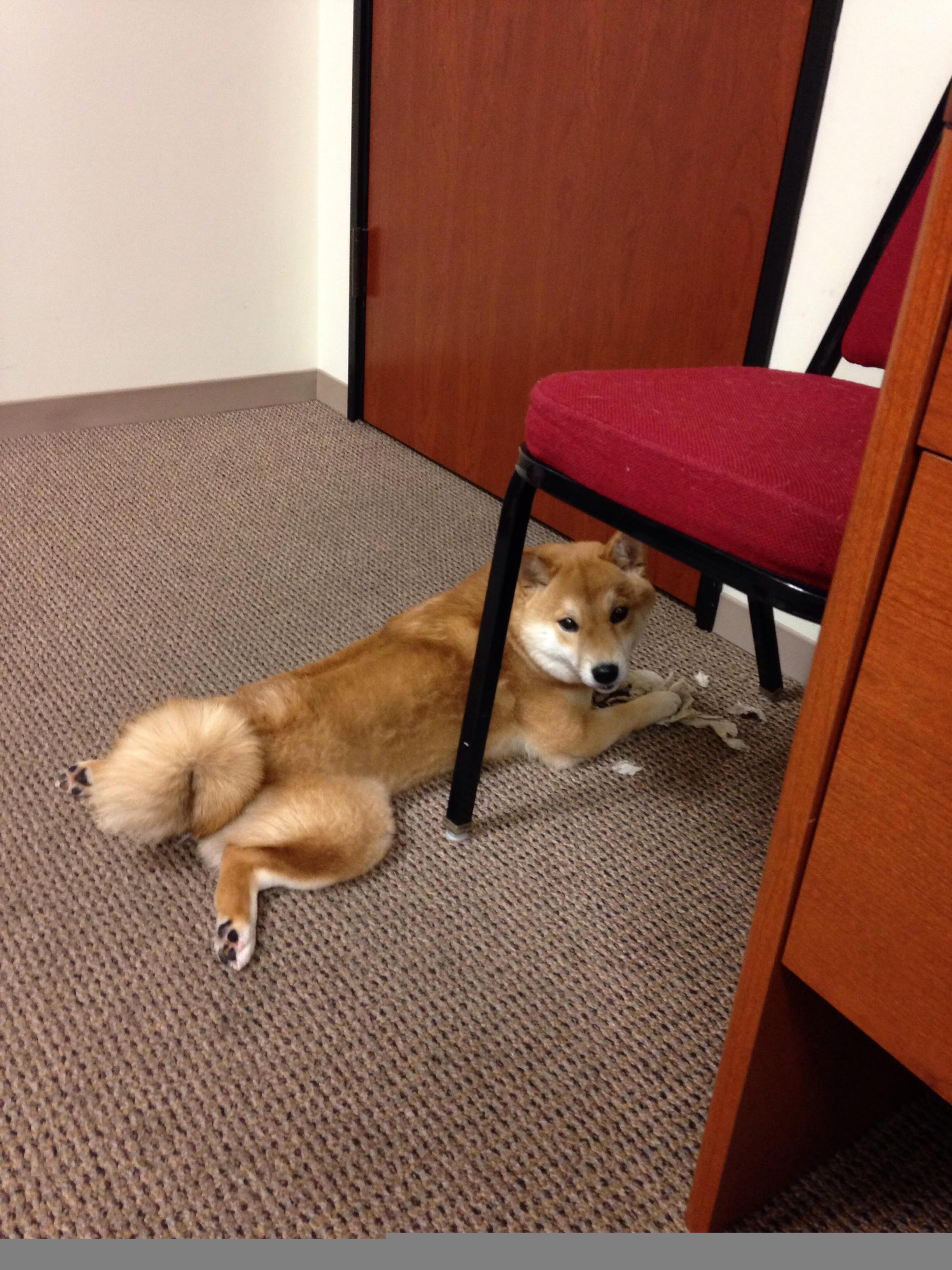 乐鱼娱乐app-篮球联赛季后赛战况汇总，篮球比赛季后赛什么意思